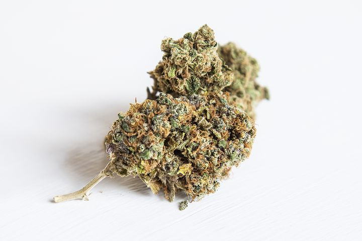Tout savoir sur les graines de cannabis autofloraison